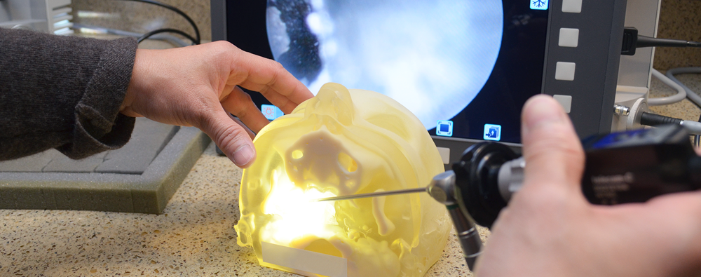 A resident studying a 3D model