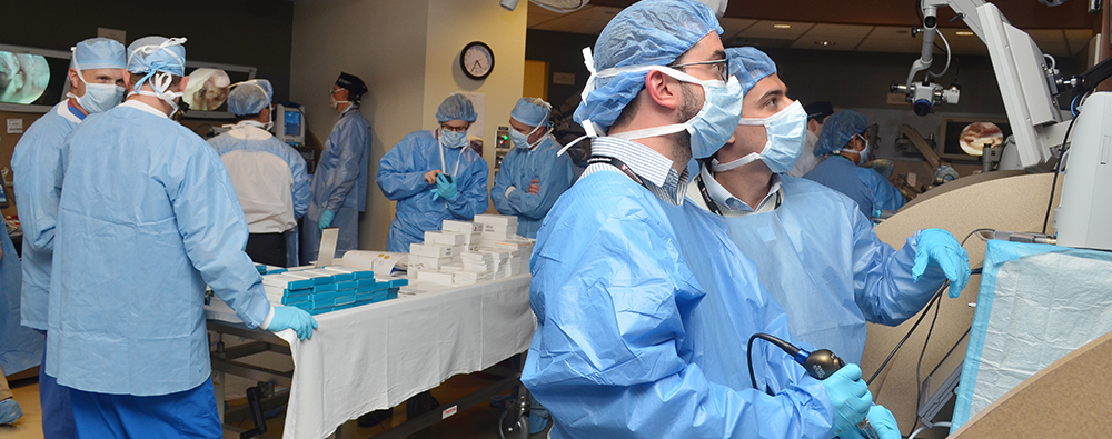 Endoscopic Ear Surgery course