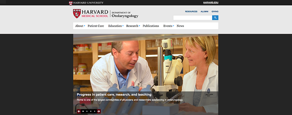 Screenshot of website homepage