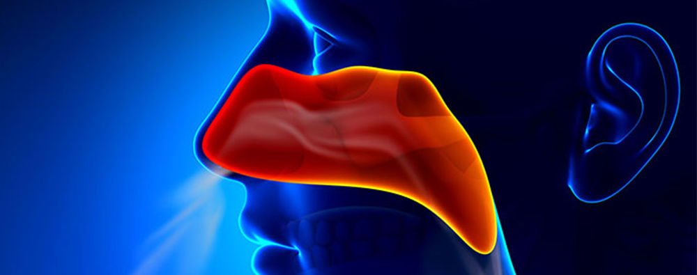 Nose graphic