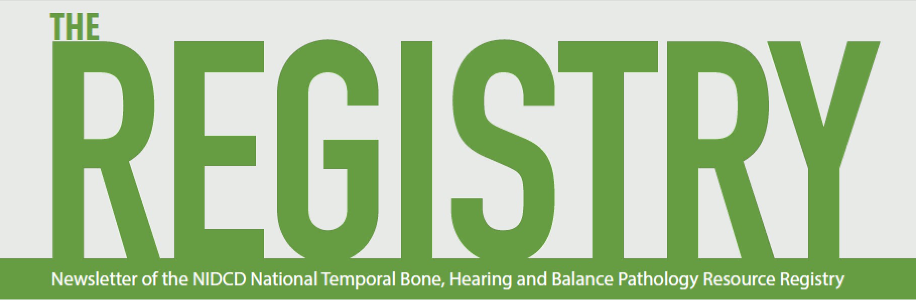 The Registry newsletter banner