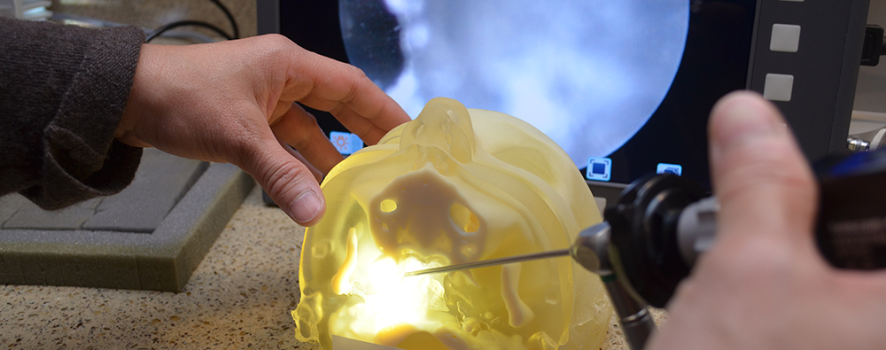 3-D printed model for practicing balloon dilation