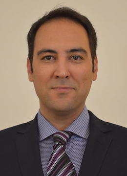 Dr. Hamid Motallebzadeh