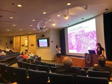 Meeting presentation