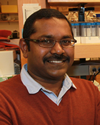 Dr. Vinod Saladi portrait